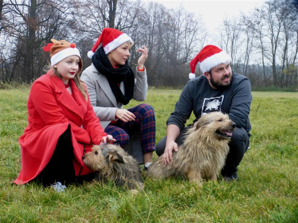 Świąteczna sesja zdjęciowa w 