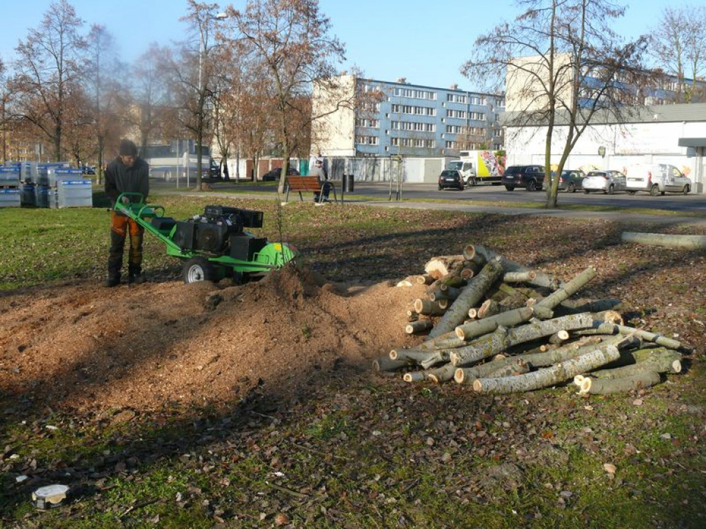 Będzie skwer, drzewa już wycięto