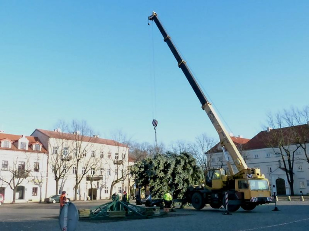 Świerk srebrny już zdobi Stary Rynek