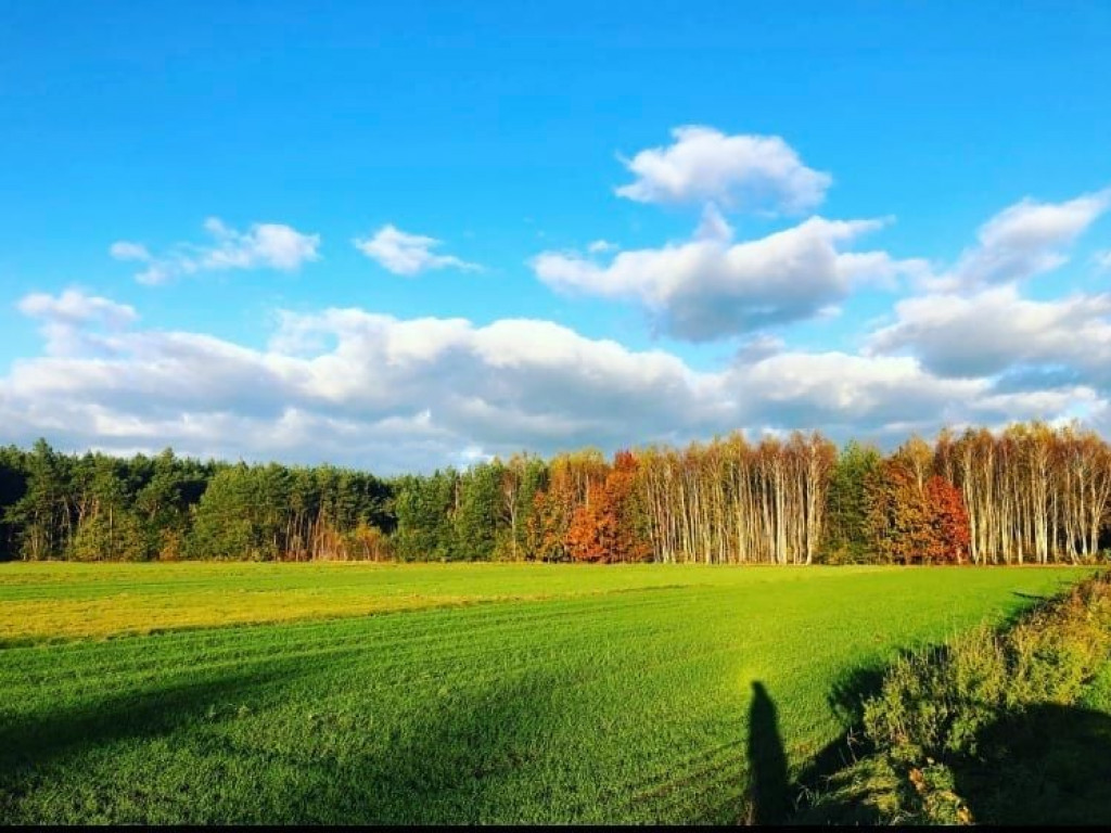 Jesień w Księstwie Łowickim była piękna