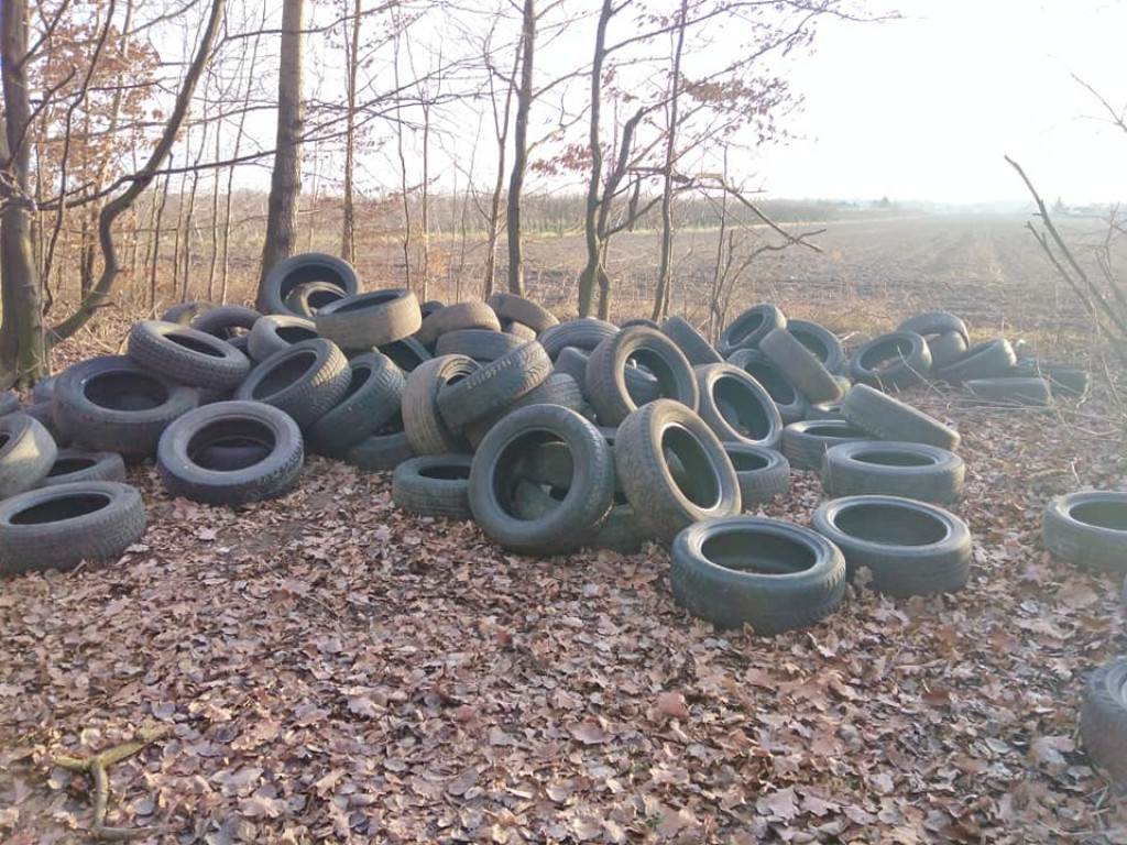 Sterta opon i inne znaleziska - śmieci znów w naszych lasach