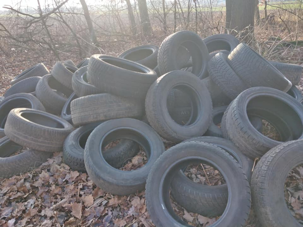 Sterta opon i inne znaleziska - śmieci znów w naszych lasach