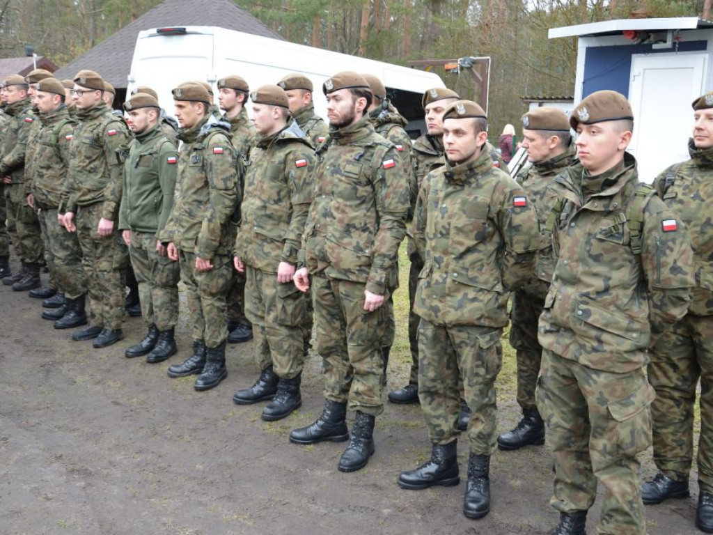 Terytorialsi i leśnicy szukali padłych dzików. Jedno zwierzę trafi do badań