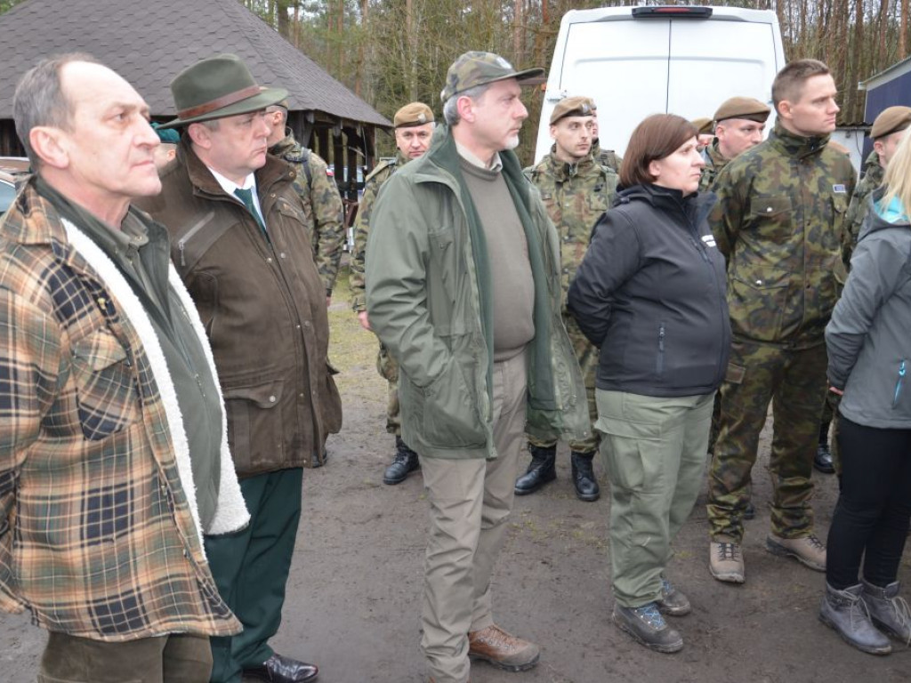 Terytorialsi i leśnicy szukali padłych dzików. Jedno zwierzę trafi do badań