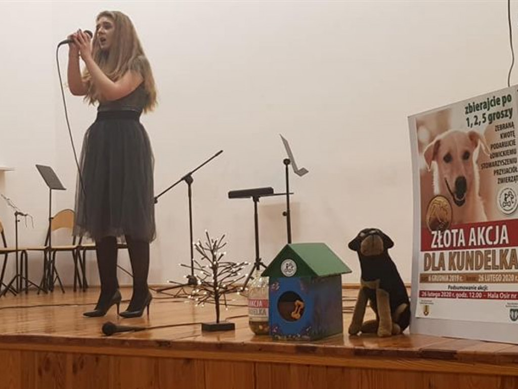 Koncert i 