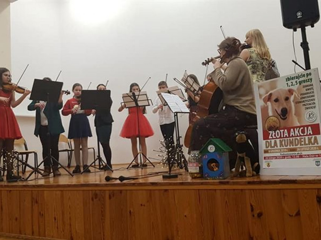 Koncert i 