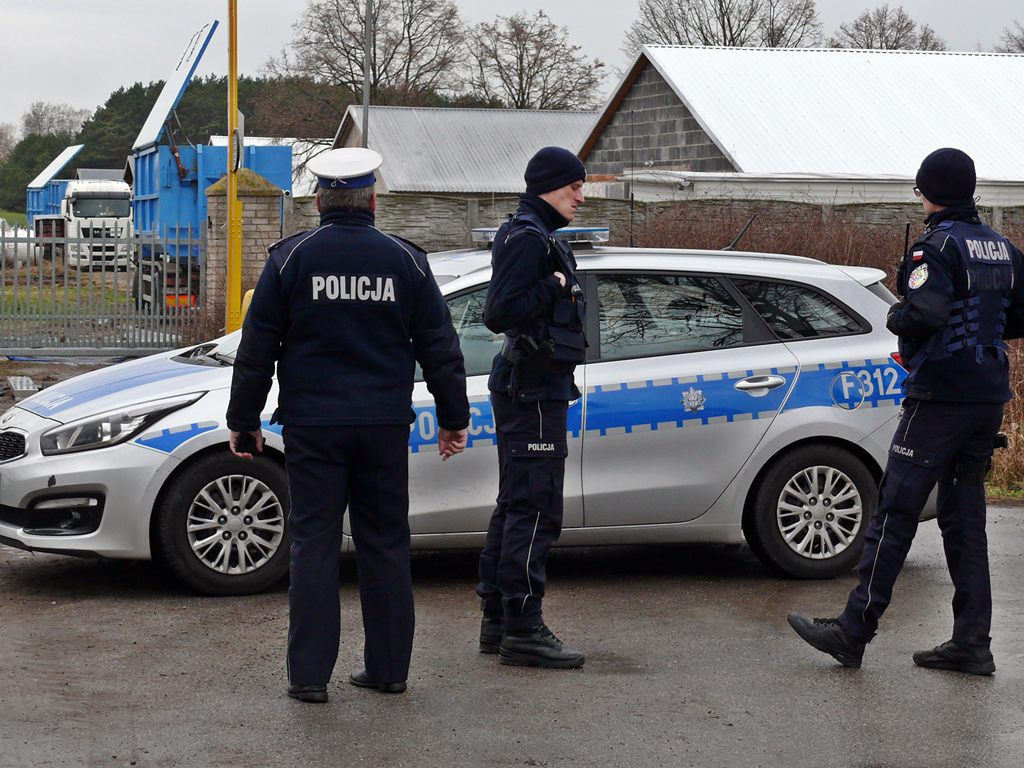 Ptasia grypa w Skaratkach: 40 tys. martwych kaczek będzie dzisiaj zutylizowanych