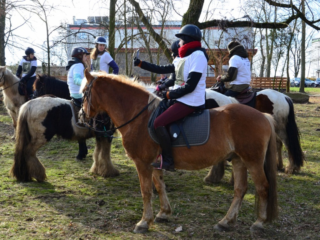 Około 270 osób biegało 