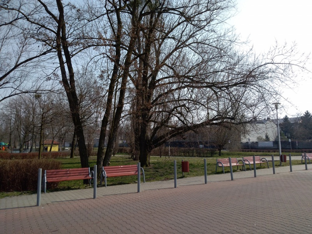 Jak radzimy sobie z ograniczeniem wyjść z domu?