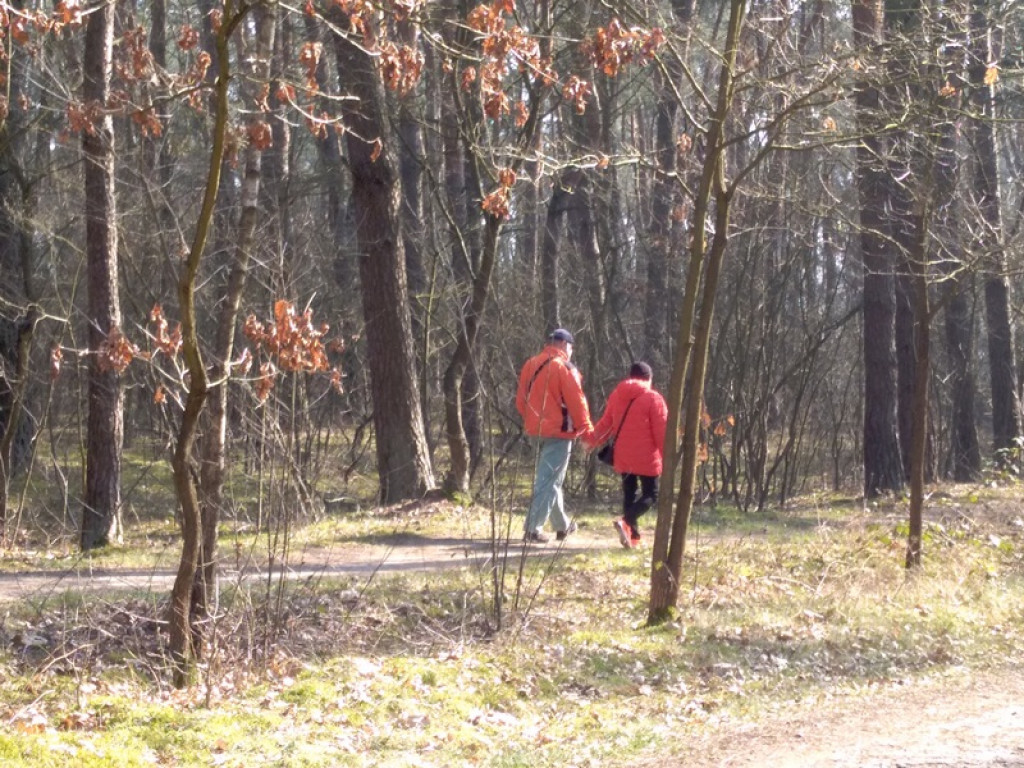Jak radzimy sobie z ograniczeniem wyjść z domu?