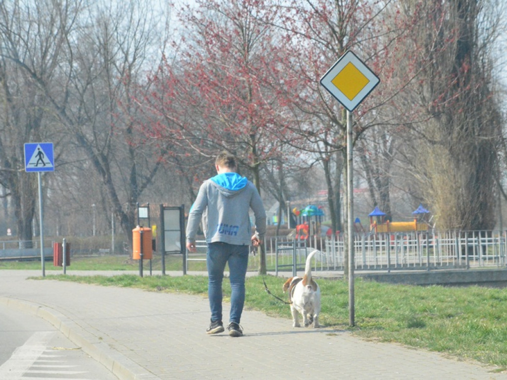 Jak radzimy sobie z ograniczeniem wyjść z domu?