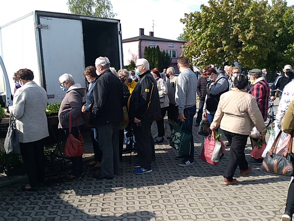 Tłumy na targowisku w Głownie - czy obiekt znów zostanie zamknięty?