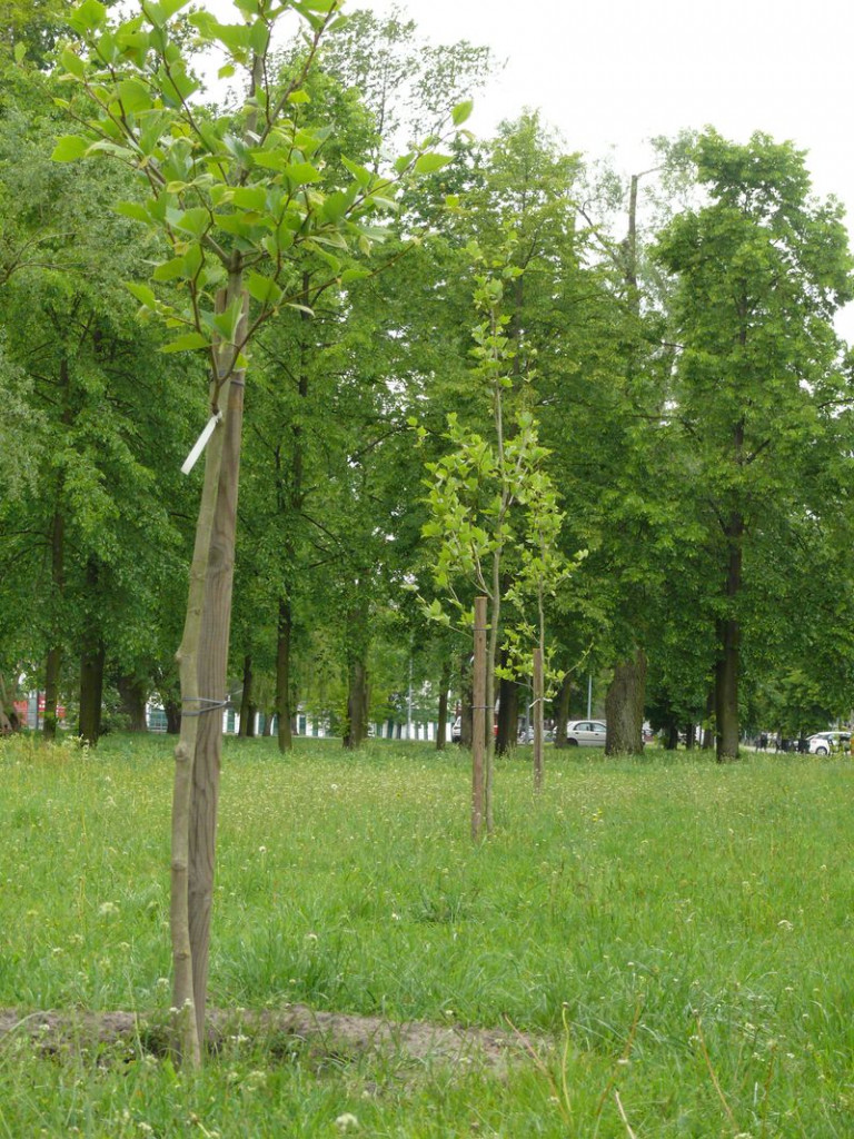 Przez cięcia w budżecie nie usiądziesz na ławce