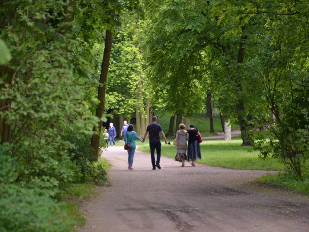 W Arkadii pachnie akacją i jaśminem