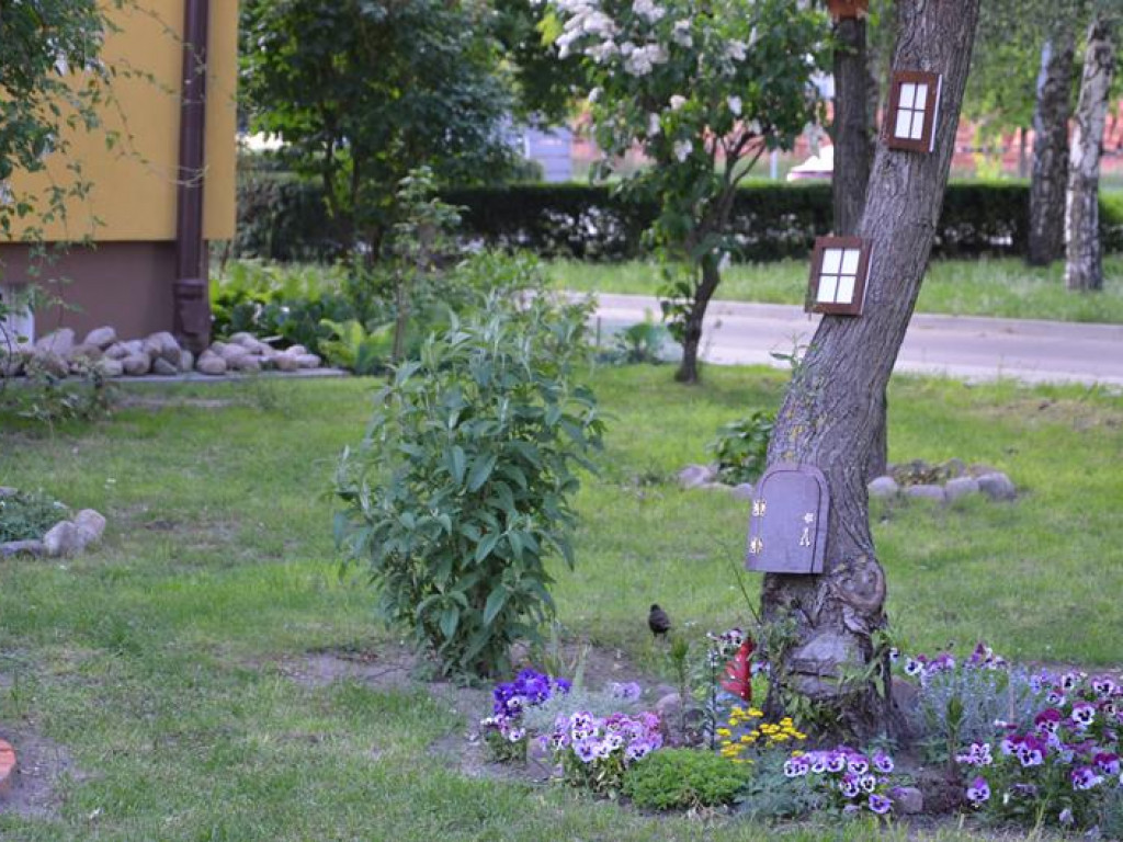 Kawałek raju między blokami