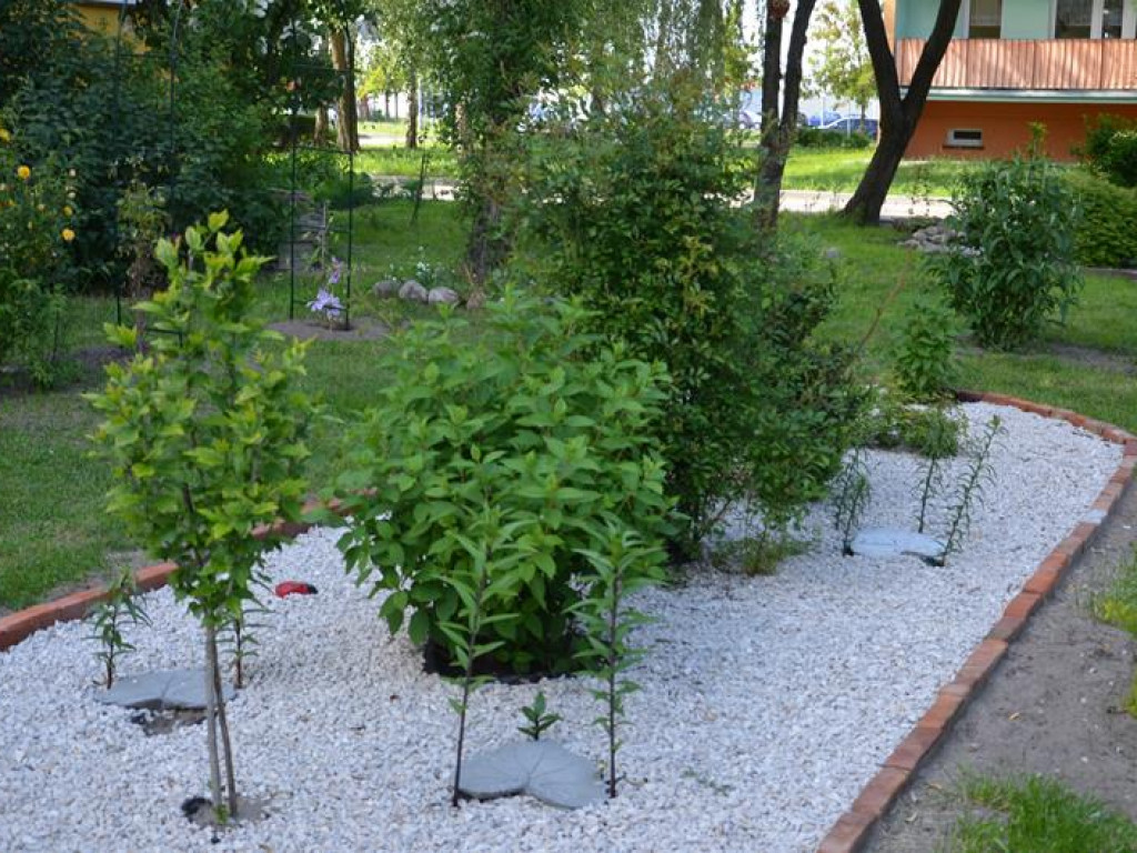 Kawałek raju między blokami