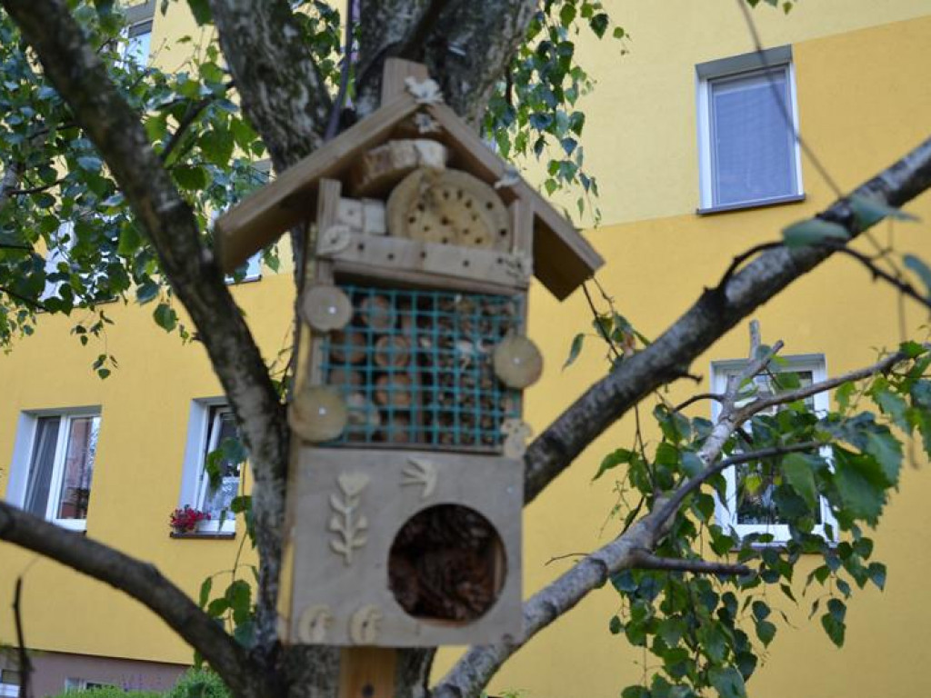 Kawałek raju między blokami