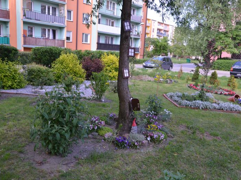 Kawałek raju między blokami