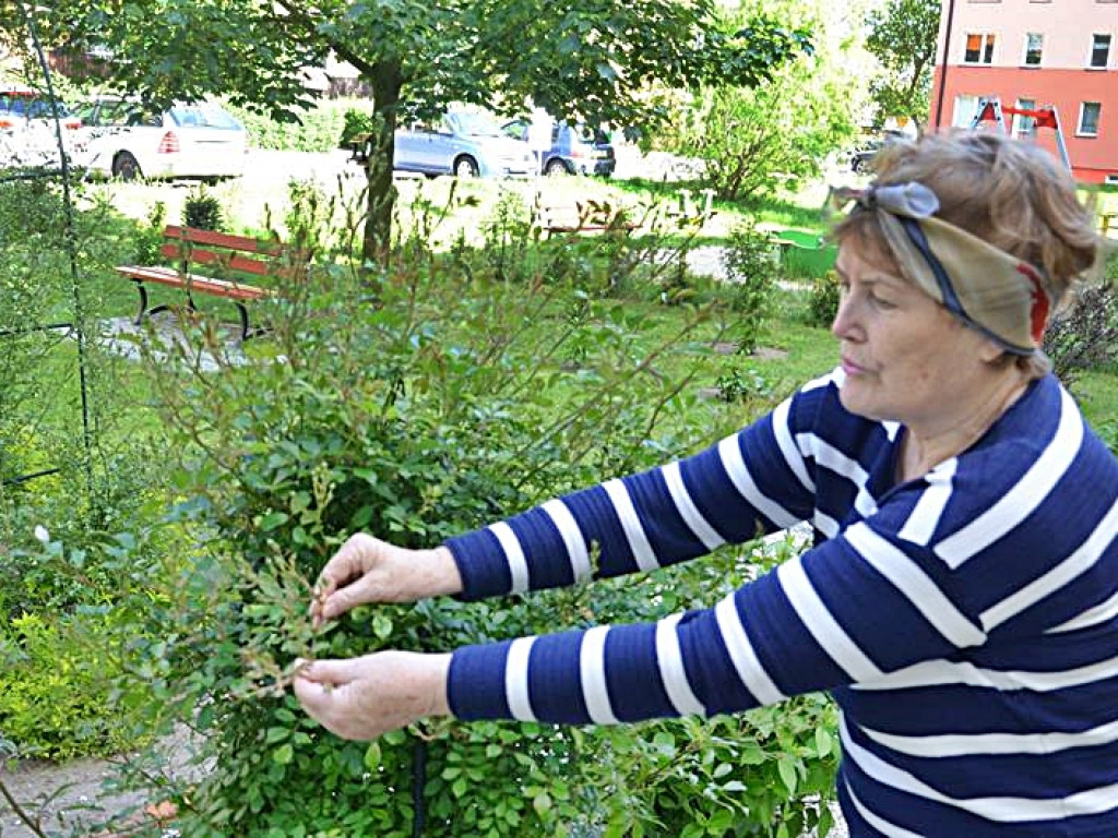 Kawałek raju między blokami