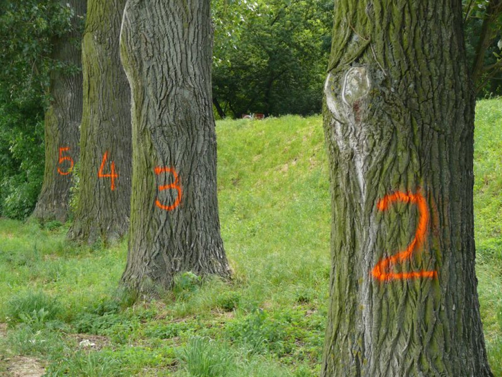 Gdzie są palmy i dlaczego tak pusto?