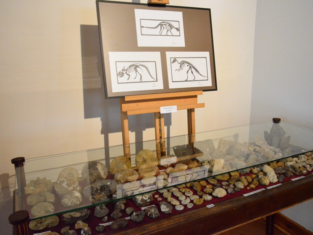 Nowa wystawa w muzeum