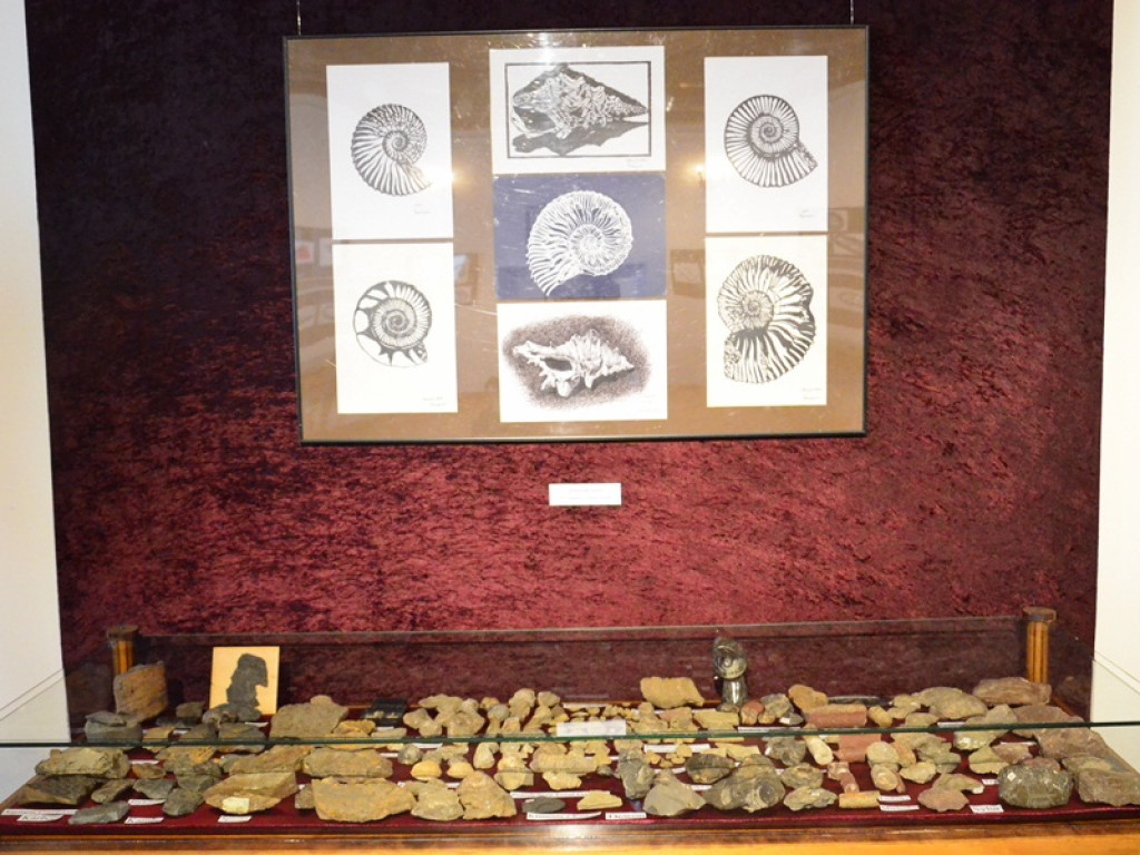 Nowa wystawa w muzeum