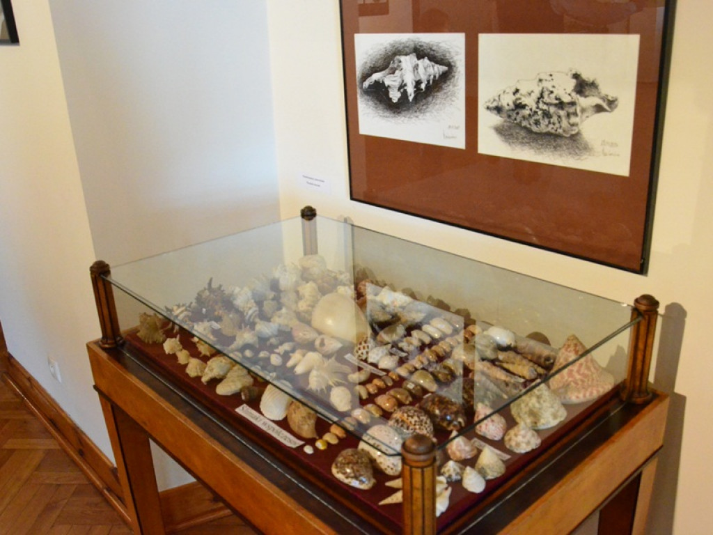 Nowa wystawa w muzeum