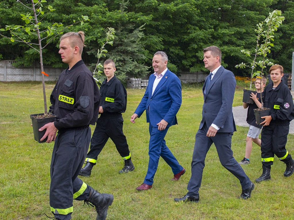 Drzewa owocowe upamiętnią Ojca Świętego