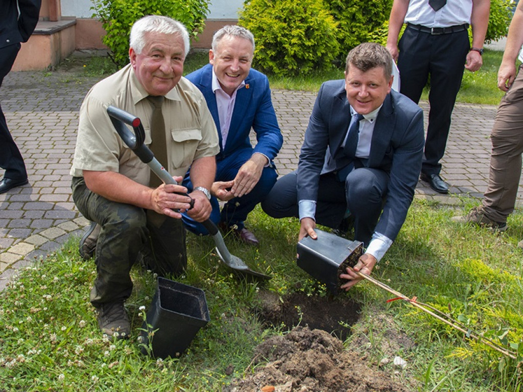 Drzewa owocowe upamiętnią Ojca Świętego