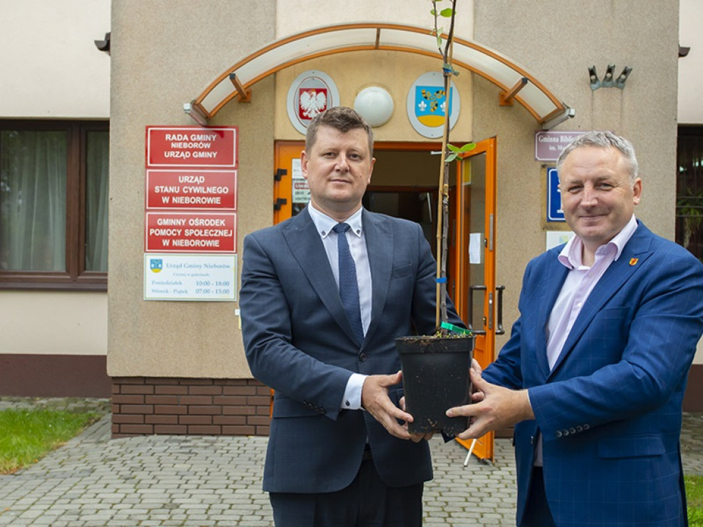Drzewa owocowe upamiętnią Ojca Świętego