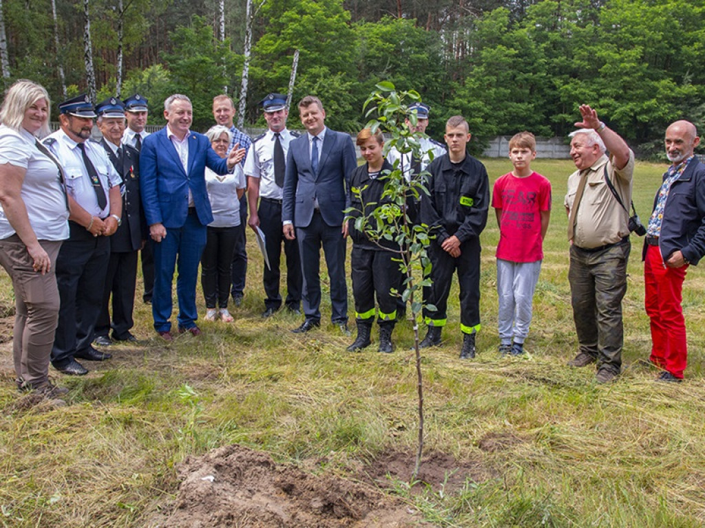 Drzewa owocowe upamiętnią Ojca Świętego