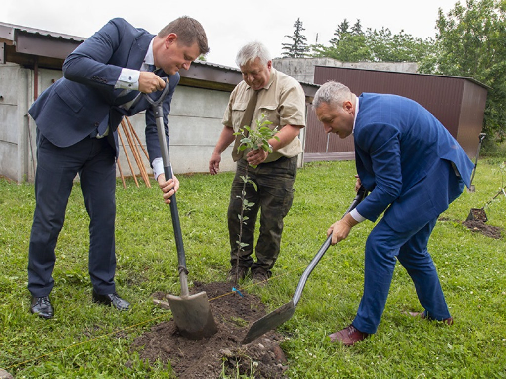 Drzewa owocowe upamiętnią Ojca Świętego