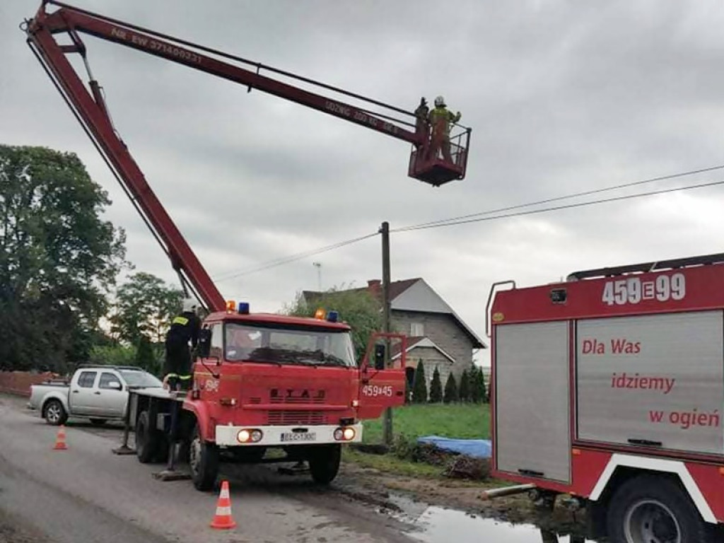 Bociany nie przeżyły upadku