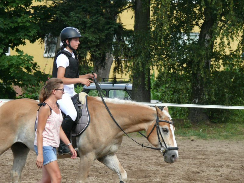 Jeźdźcy i konie rywalizują w Walewicach