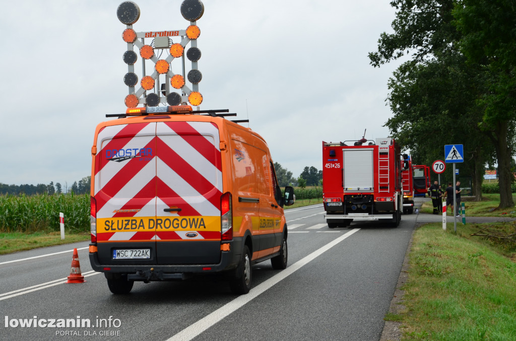 Śmiertelny wypadek na DK 14 w Jamnie