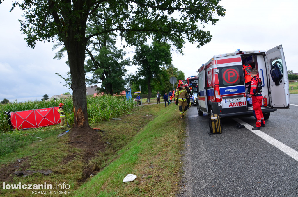 Śmiertelny wypadek na DK 14 w Jamnie