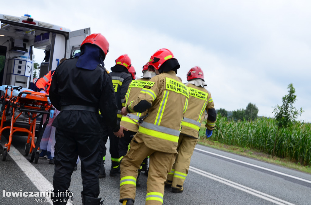 Śmiertelny wypadek na DK 14 w Jamnie