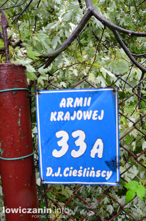 Niejasna przyczyna połamania konarów