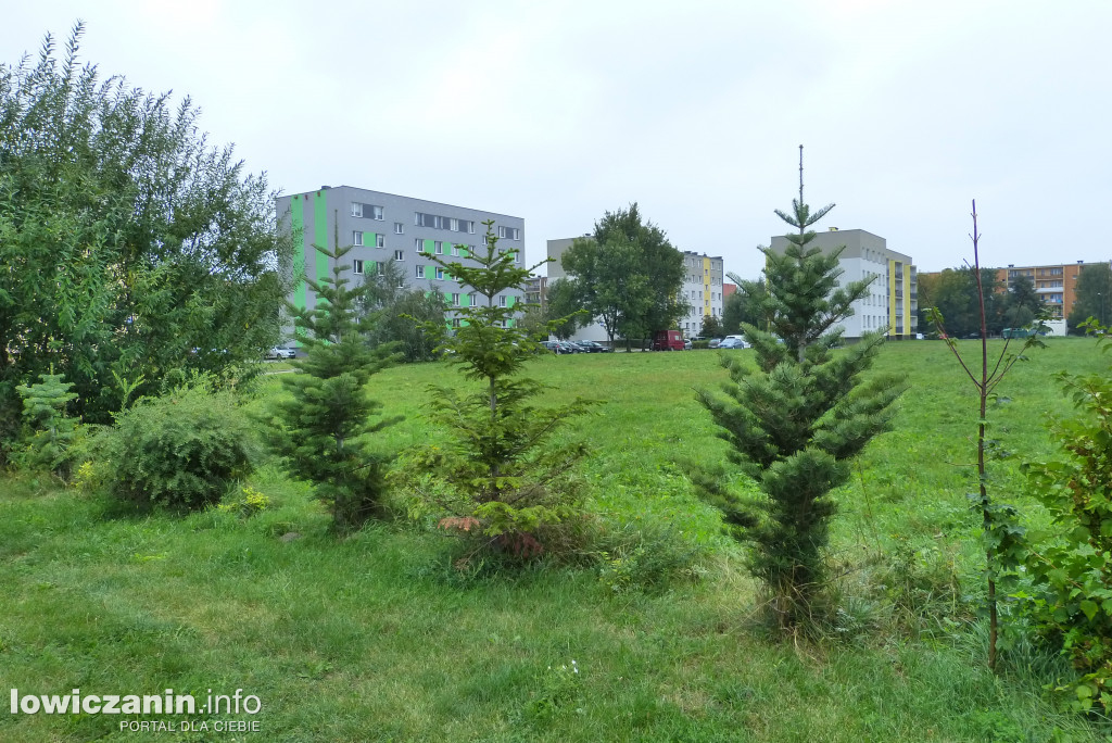 Czy ŁSM pobuduje nowy blok na osiedlu Bratkowice