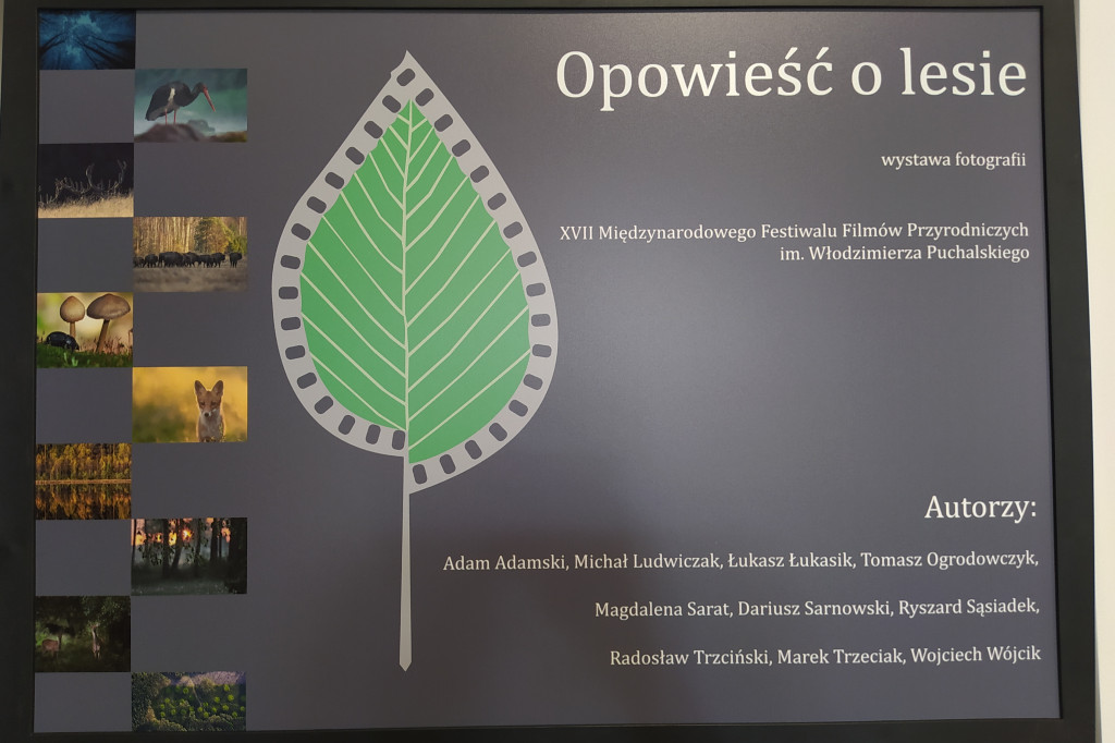 Otwarcie wystawy Opowieść o lesie