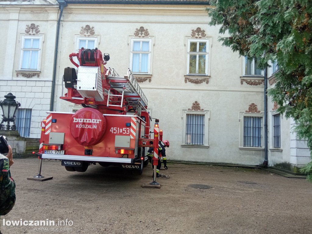 Strażacka interwencja w Nieborowie