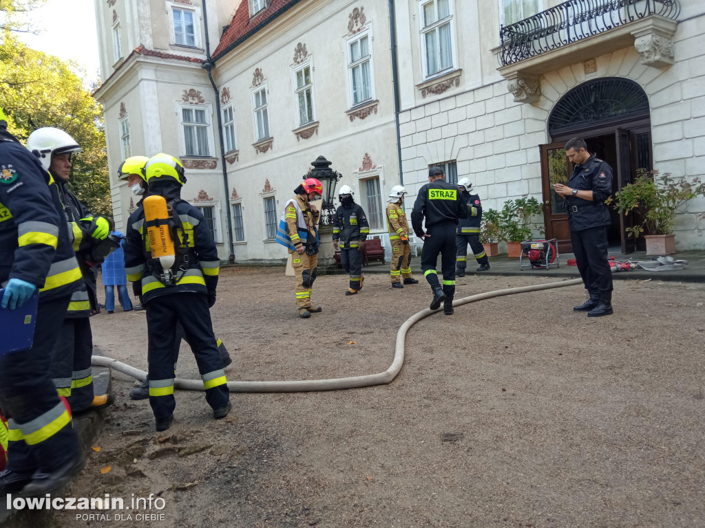 Strażacka interwencja w Nieborowie