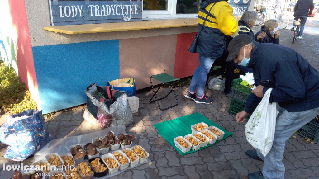 Gdzie po grzyby? Do lasu czy na targowisko?