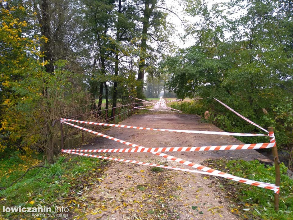 Powalone drzewo uszkodziło most w Placencji