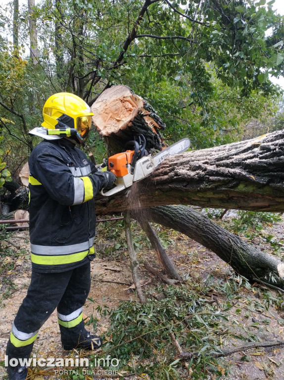 Powalone drzewo uszkodziło most w Placencji