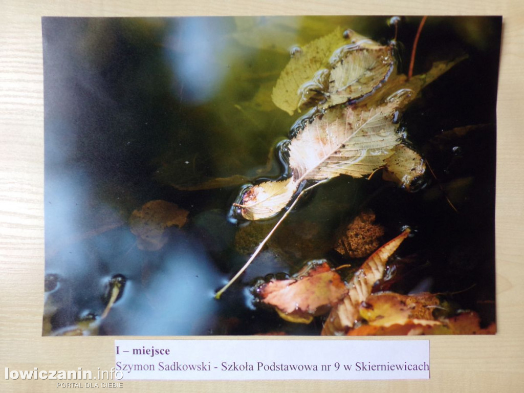 Jesień w powiecie łowickim - konkursowe zdjęcia