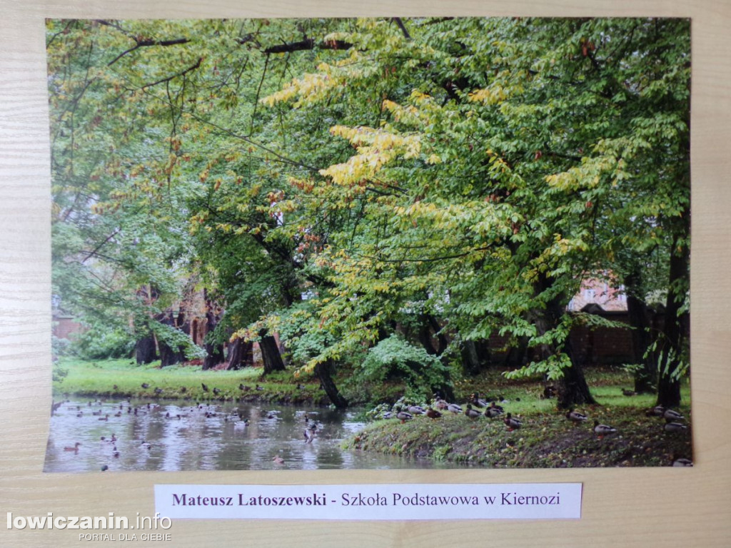 Jesień w powiecie łowickim - konkursowe zdjęcia