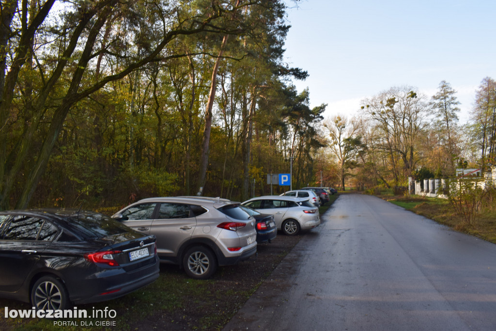 Weekend w okolicznych lasach