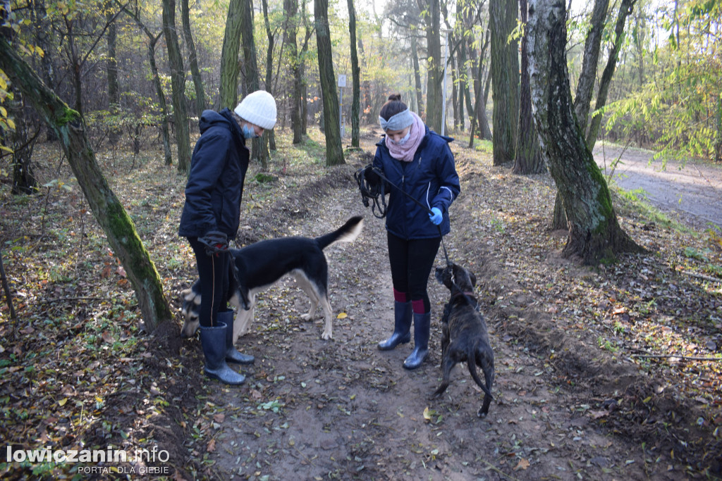 Weekend w okolicznych lasach