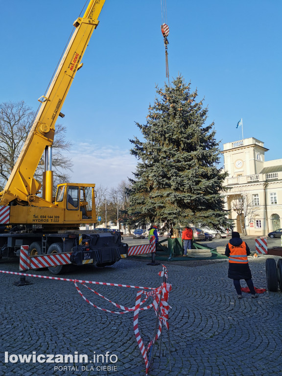 Choinka na Starym Rynku już jest!